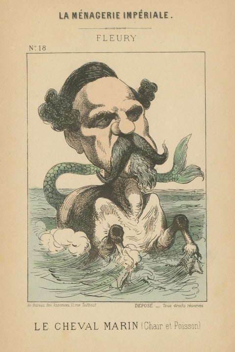 Imperial Menagerie: Fleury - The Sea Horse (Flesh and Fish), 1870, close-up 5