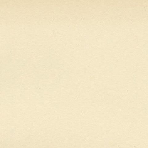 Antique Bird Print of The Western Yellow Wagtail, 1927, close-up 1