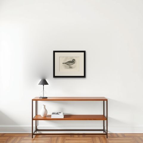 Grey Goose, Antique Bird Print after Lilian Medland, circa 1909, shown framed on a wall
