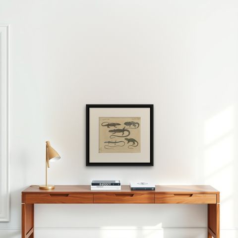 Five Exotic Lizards, Antique Bertuch Print, Vienna, circa 1820, shown framed on a wall