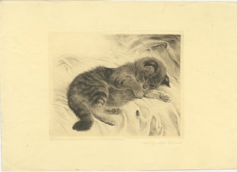 Charming Kitten Etching by Kurt Meyer-Eberhardt, Estate Edition 1977, view 2