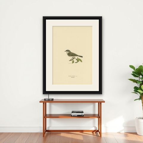 Antique Bird Print of the Lesser Whitethroat by Von Wright '1927', shown framed on a wall