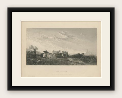 Antique Print of Cows in the Meadow by Brandard 'c.1850', shown framed