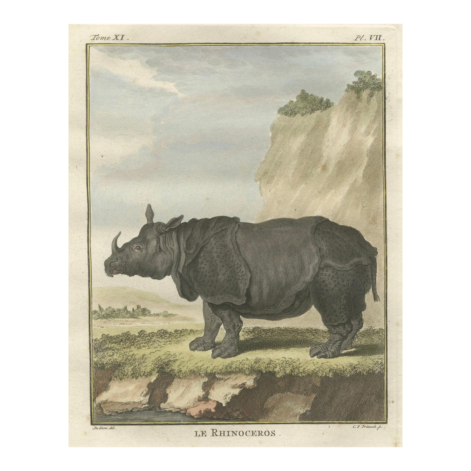 Striking Antique Rhinoceros Engraving, Buffon Hand-Coloured Print Amsterdam 1769