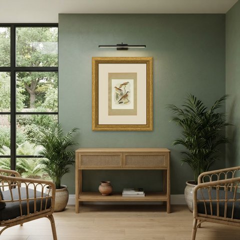 Falcons and Kestrels, Brazilian Bird Print, Descourtilz, 1944, shown framed in a room