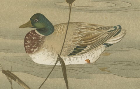 Antique Japanese Waterfowl Print: Tranquil Duck in Reeds, 19th Century, close-up 3
