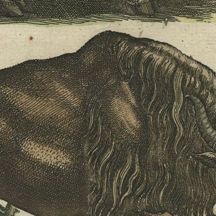 Antique Print of Buffalos, Bisons Magnus, Jubatus and Locobardus, 1657, close-up 1
