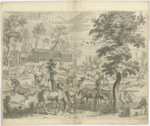 Old and Interesting Rare Print of a Study of Horses, ca.1665, view 2