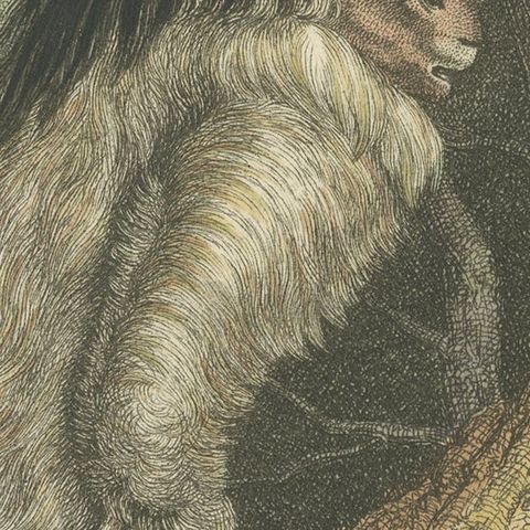 Antique Print with Hand Coloring of a Pale-Throated Sloth, close-up 4