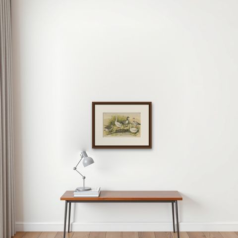 Antique Bird Print of Various Geese by A. Nuyens, 1882, shown framed on a wall