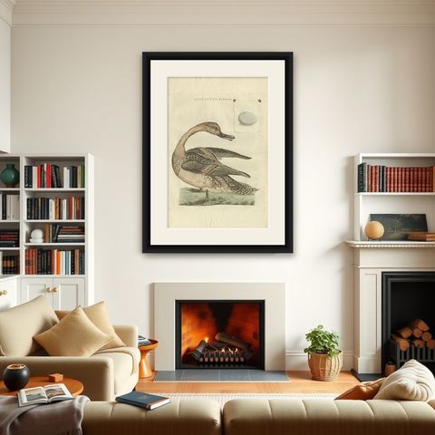 Anas acuta foemina, Northern Pintail Female with Egg by Nozeman & Sepp, 1789, shown framed in a room