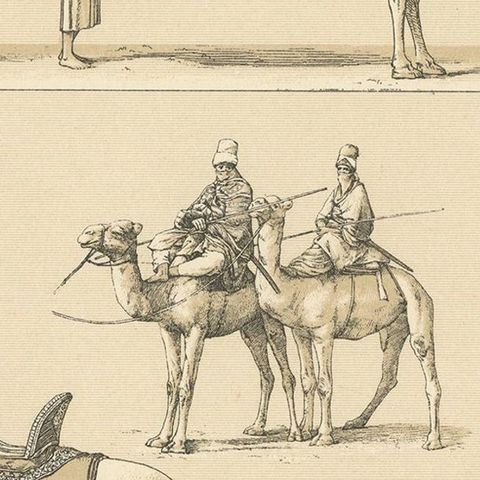 Antique Print of African Working Animals by Racinet, 'circa 1880', close-up 2