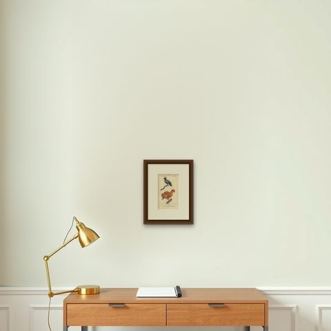 Antique Bird Print of a Blue-Backed Manakin & Guianan Cock of the Rock, '1816', shown framed on a wall