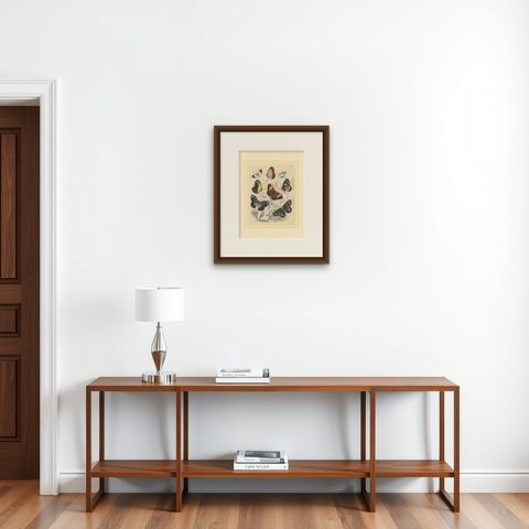 Wings of Elegance: Hand-Colored 1849 Lithograph of Exotic Butterflies, shown framed on a wall