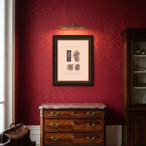 Nerves of the Pharynx and Floor of the Mouth, Hirschfeld Anatomy Print, 1866, shown framed in a room