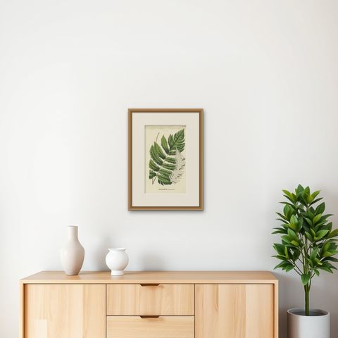 Rare, Artfully Handcolored Lithograph of Ferns of Java 'Polypodium', 1829, shown framed on a wall