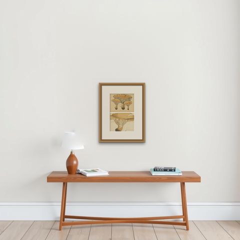 Set of 2 Antique Mycology Prints of Various Fungi by Barla, circa 1890, shown framed on a wall