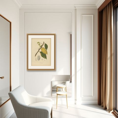 Antique White Cacao Botanical Chromolithograph by Hoola van Nooten, c. 1880, shown framed in a room