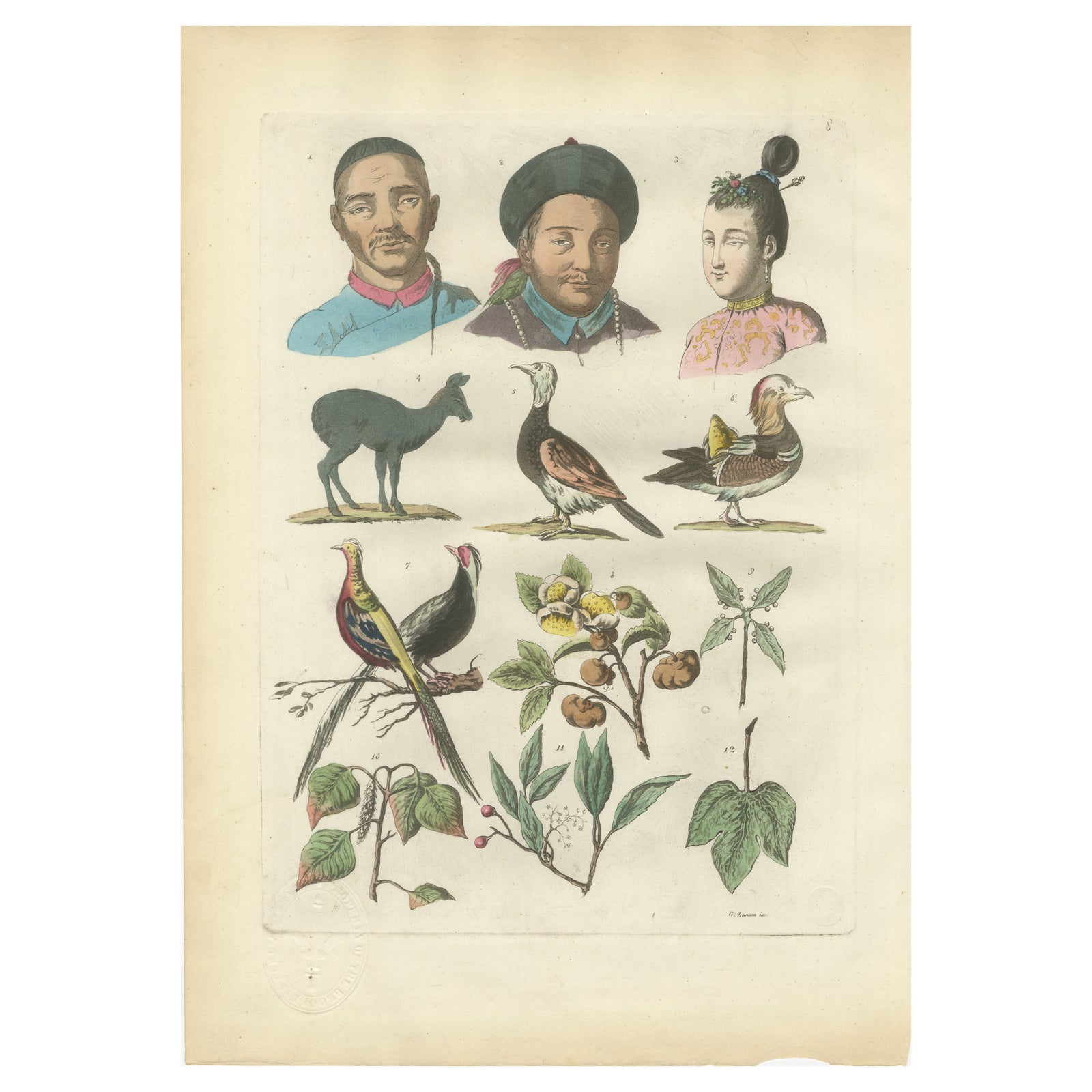 China Figures, Fauna & Flora, Hand-Colored Antique Print, Ferrario, Italy 1815