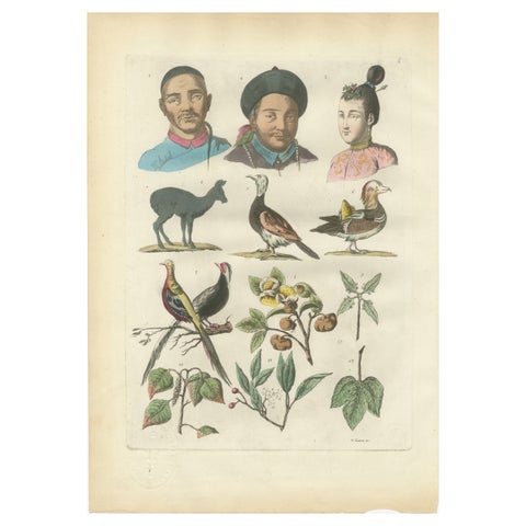 China Figures, Fauna & Flora, Hand-Colored Antique Print, Ferrario, Italy 1815