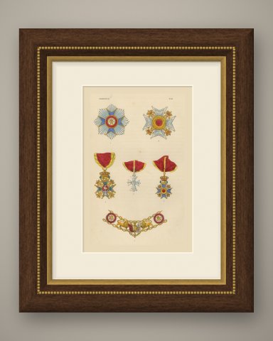 Orders of Brunswick, Order of Henry the Lion Insignia, Plate XVII, 1844, shown framed