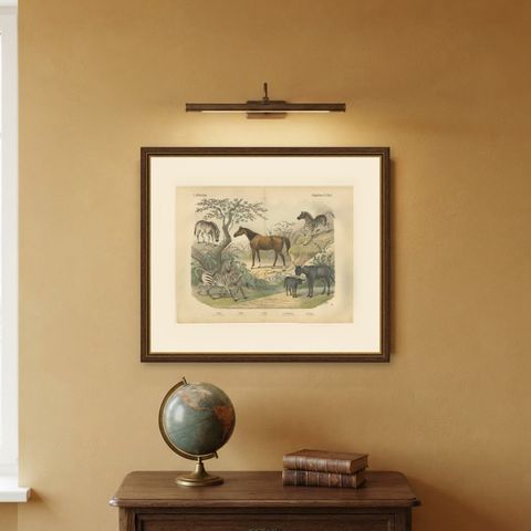 Antique Horse and Zebra Print with the Extinct Quagga, Kolb Mammals, circa 1890, shown framed on a wall