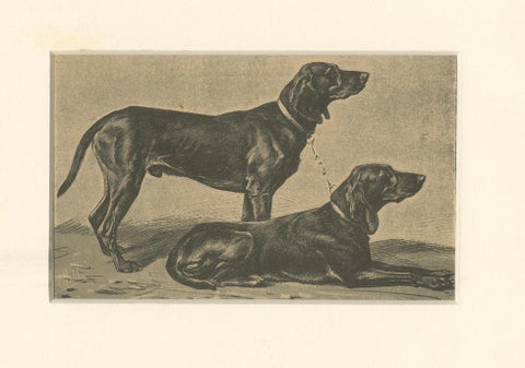 Swiss Hound Briquets, Antique Dog Print, circa 1880, French Publication, close-up 6