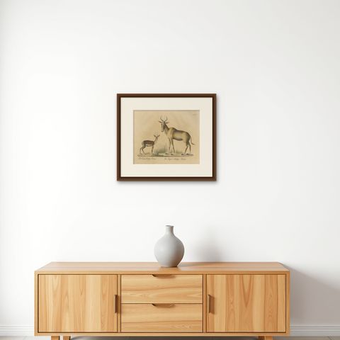 Antique Antelope Lithograph by Karl Joseph Brodtmann, 1816, shown framed on a wall