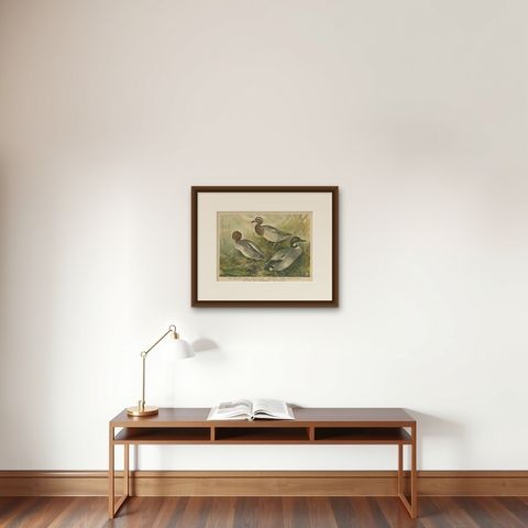 Ducks in Breeding Plumage, Antique 19th Century Chromolithograph Print, shown framed on a wall