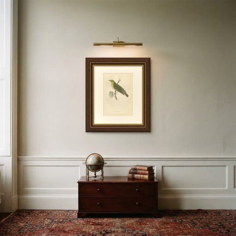 Wood Warbler in Yellow and Green, Hand Colored Morris Bird Plate, 1896, shown framed on a wall