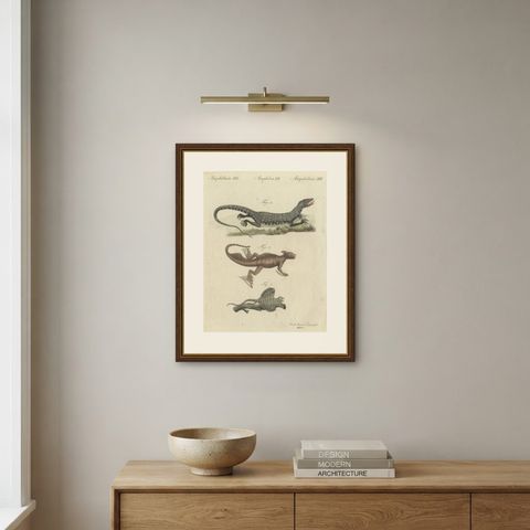 Monitor, Basilisk and Flying Dragon, Antique Bertuch Print, Vienna, circa 1805, shown framed on a wall