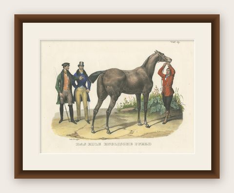 Original Hand Colored Antique Print of an English Horse, ca.1827, shown framed