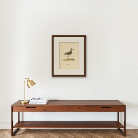 Antique Bird Print of the Common Redshank ;Summer' by Von Wright, 1929, shown framed on a wall