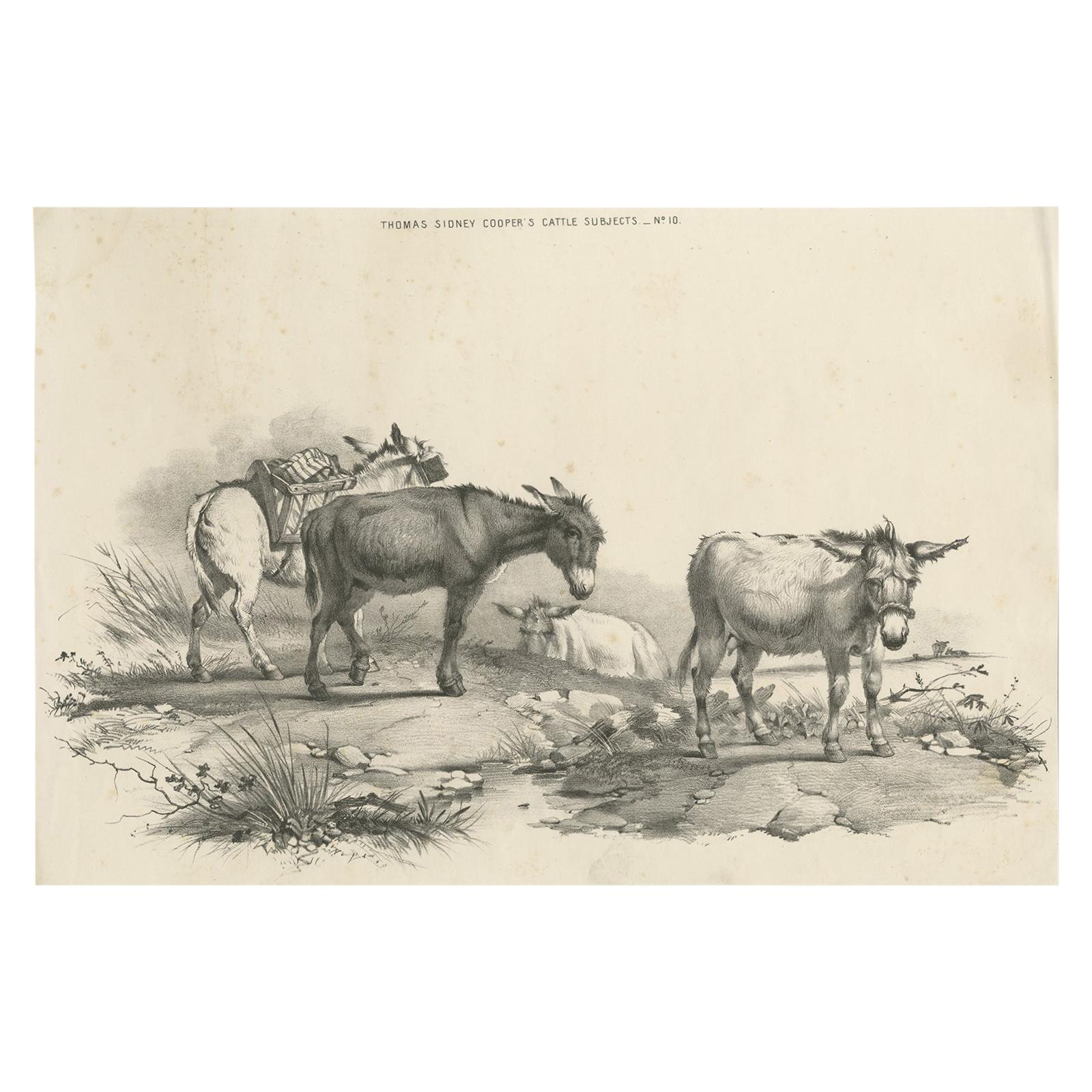 No. 10 Antique Print of Donkeys by Cooper, 1839