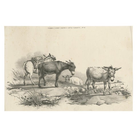 No. 10 Antique Print of Donkeys by Cooper, 1839