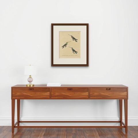 Hummingbird Illustrations: Adult, Young Male, and Female by Huet & Prêtre, 1838, shown framed on a wall