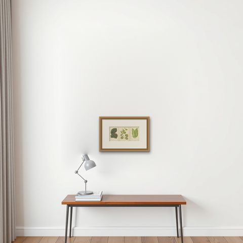 Vibrant Elegance: Botanical Illustrations of Foliage from 1880 Paris, shown framed on a wall