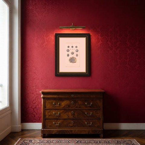 The Crystalline Lens, Antique Hirschfeld Anatomy Print, 1866, shown framed in a room