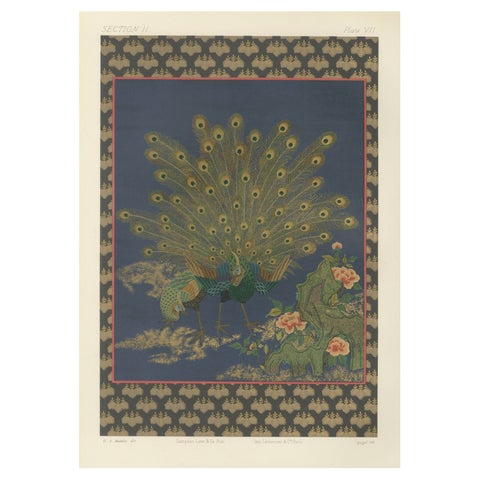 Japanese Peacocks in Full Plumage: Antique Lithograph, 1880s