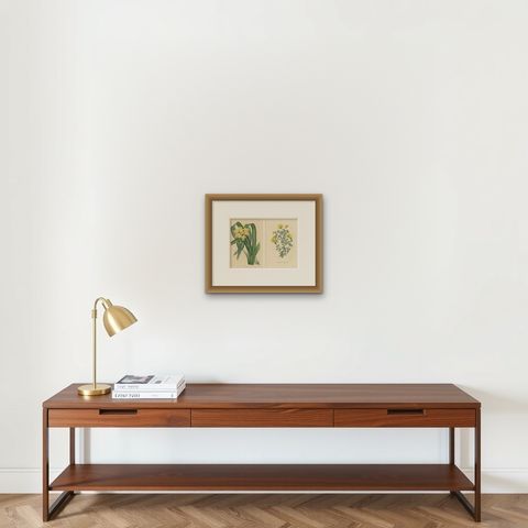 Set of 2 Antique Botany Prints, Dietes Bicolor Plant, Gompholobium '1846', shown framed on a wall