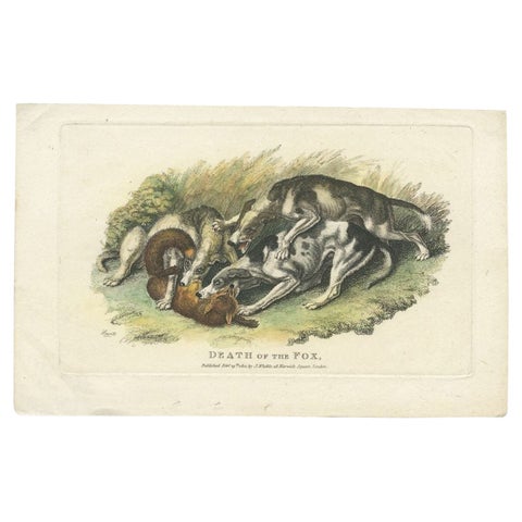 Antique Print of a Dog and Death of a Fox by Howitt, 1812