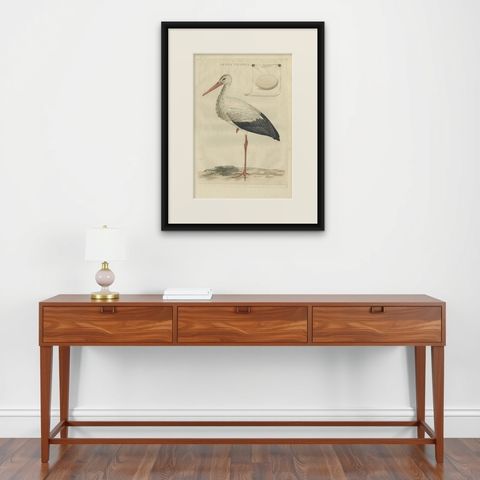 White Stork, Large 18th Century Ornithology Print by Sepp & Nozeman, 1789, shown framed on a wall