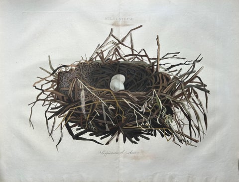 Western Marsh Harrier Nest, Antique Double-Page Engraving, Nozeman & Sepp 1770, view 3