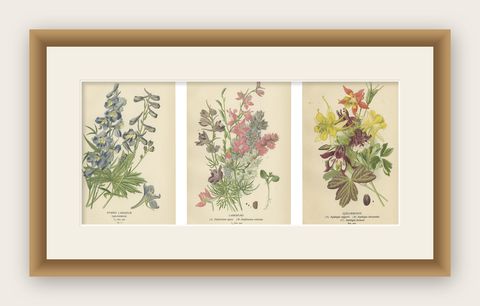 Botanical Elegance: A Triptych of Garden and Greenhouse Splendors, 1896, shown framed