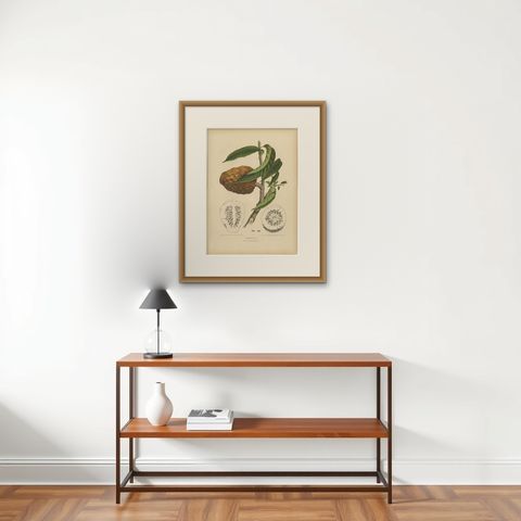 Antique Bullock's Heart Botanical Chromolithograph by Hoola van Nooten, c. 1880, shown framed on a wall