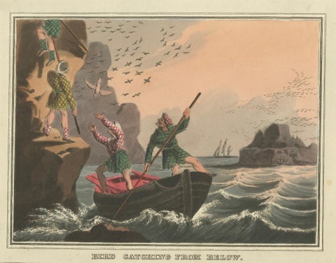 Foreign Field Sports: Bird Catching Aquatint by Dubourg & Howitt, 1813, close-up 1