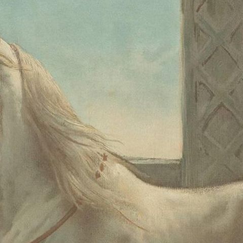 Antique Print of a Persian Horse by O. Eerelman, 1898, close-up 1