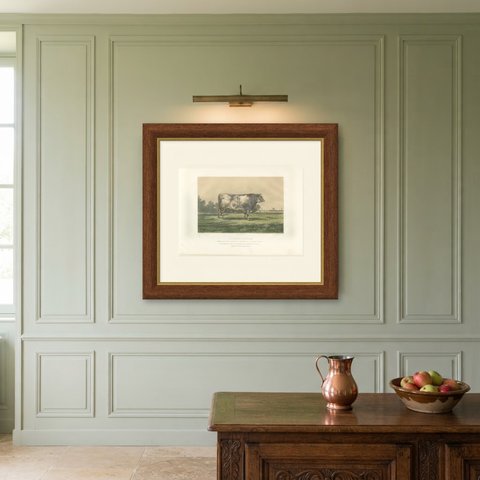 Markob, Durham Shorthorn Bull of Corbon, Antique Print, 1873, shown framed on a wall