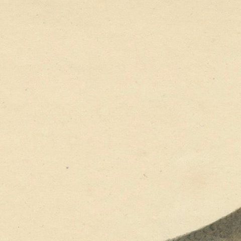 Old Original Engraving of the Female The Black-faced Bunting, 1794, close-up 5