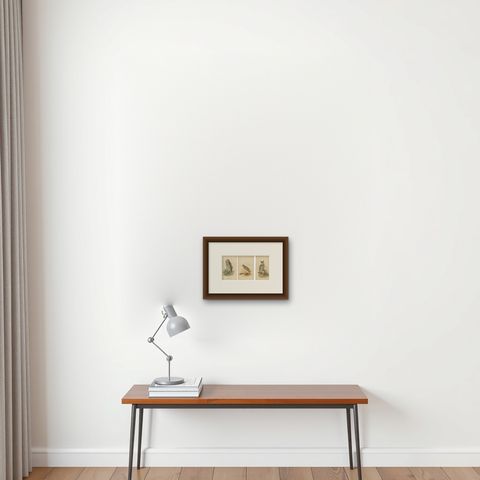 Set of 3 Antique Owl Prints: Dwarf Screech, Burrowing and Great Horned Owl, 1893, shown framed on a wall